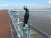 cormorant sculpted by David Kemp circa 1999